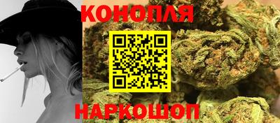 бошки Гай