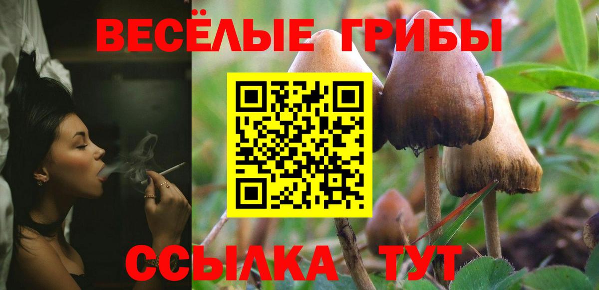 Псилоцибиновые грибы Magic Shrooms Кемерово