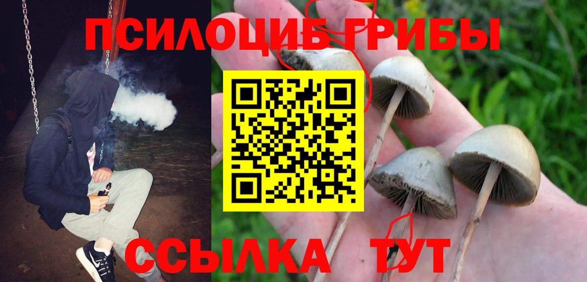 Галлюциногенные грибы Magic Shrooms  Галлюциногенные грибы прущие грибы  Вход с VPN  как найти   Кемерово 